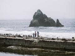 三命通会八字预测,水墨八字算命免费测八字