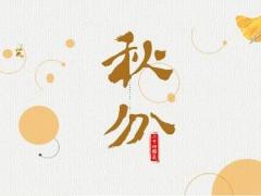 五行十三画属木的字,13画木属性的字康熙字典