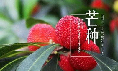 五行属火的字有哪些寓意好,有吉祥寓意带火属性的名字