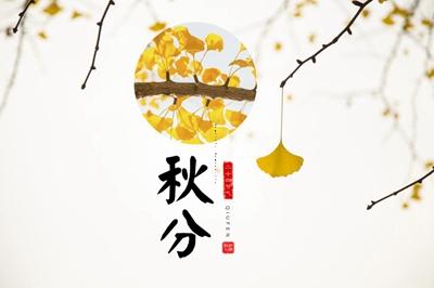 公司团队起名大全,公司团队名字,有创意