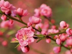 个子矮的女生干着好么,个子矮的女生普遍长得漂亮吗