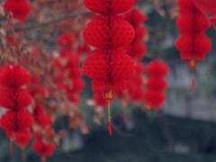 测算两个人的缘分,免费名字配对姻缘,男女