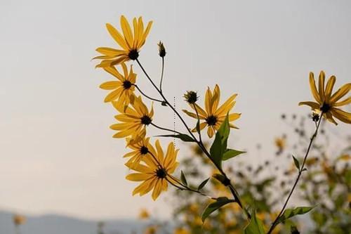 卧室家具怎么摆放风水好,卧室家具怎么摆放风水好一点