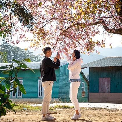 龙虎生肖配对姻缘,98年虎和00年龙相配婚姻如何