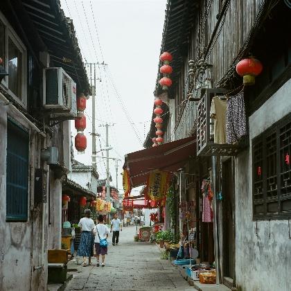 已婚女人梦见满树的枣,女人梦见枣树上结了好多枣是胎梦吗