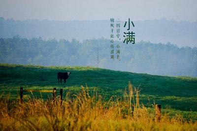 棋牌室名字大全大气好听,棋牌室名字大全大气好听,麻将馆名字霸气点的